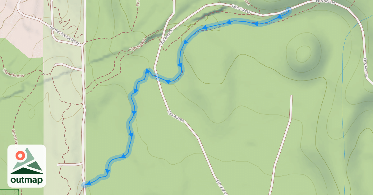 Map of Miki's Magic