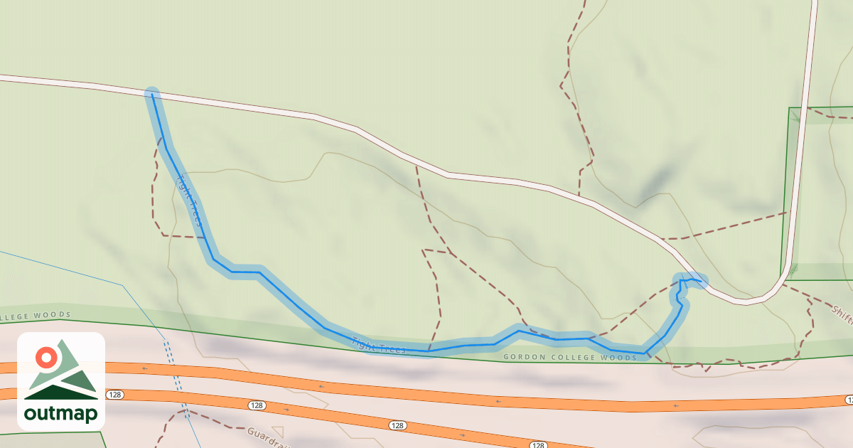 Map of Tight Trees