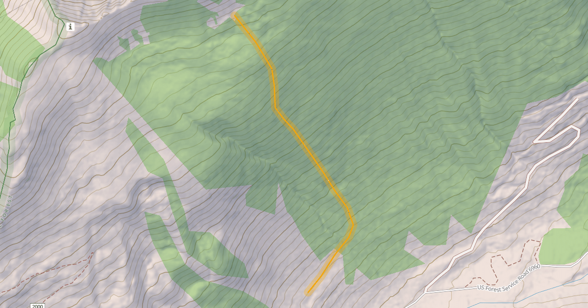 Map preview of Out of Bounds Woods