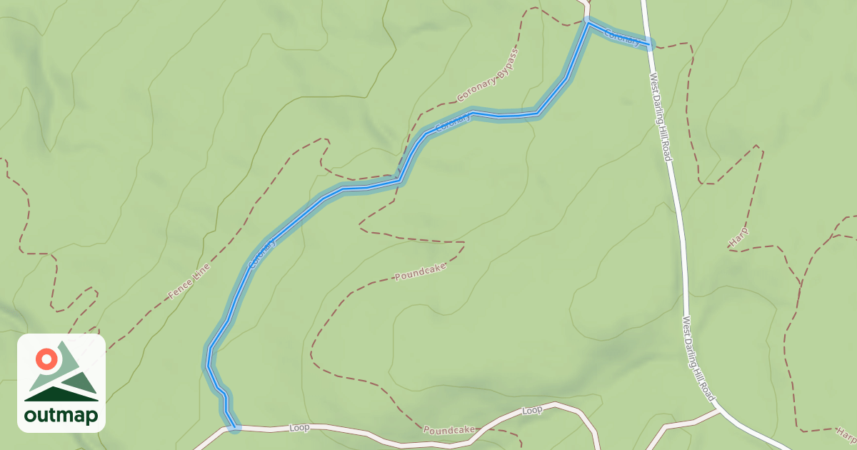 Map of Coronary