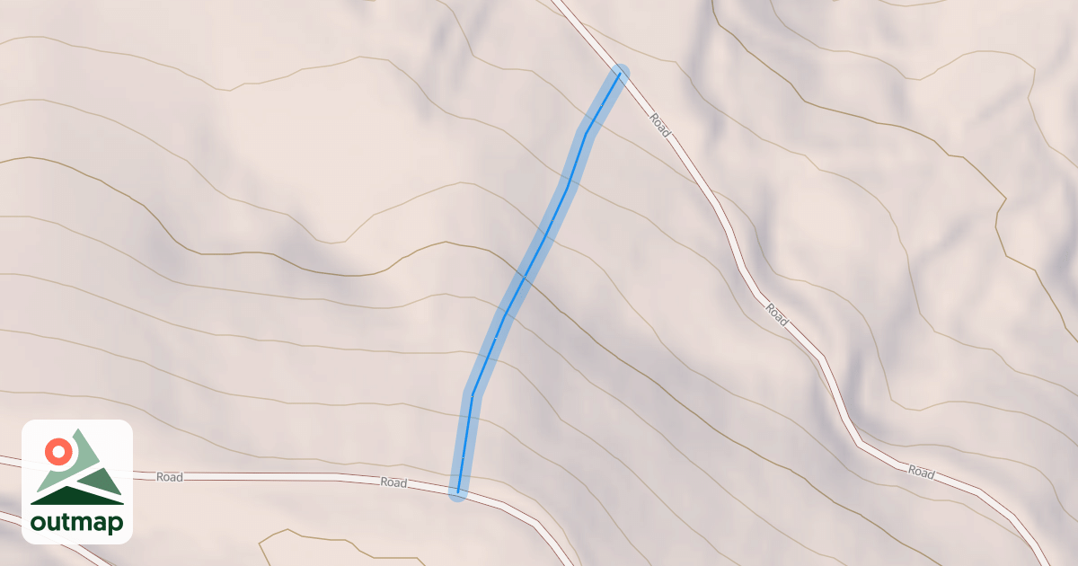 Map of Face