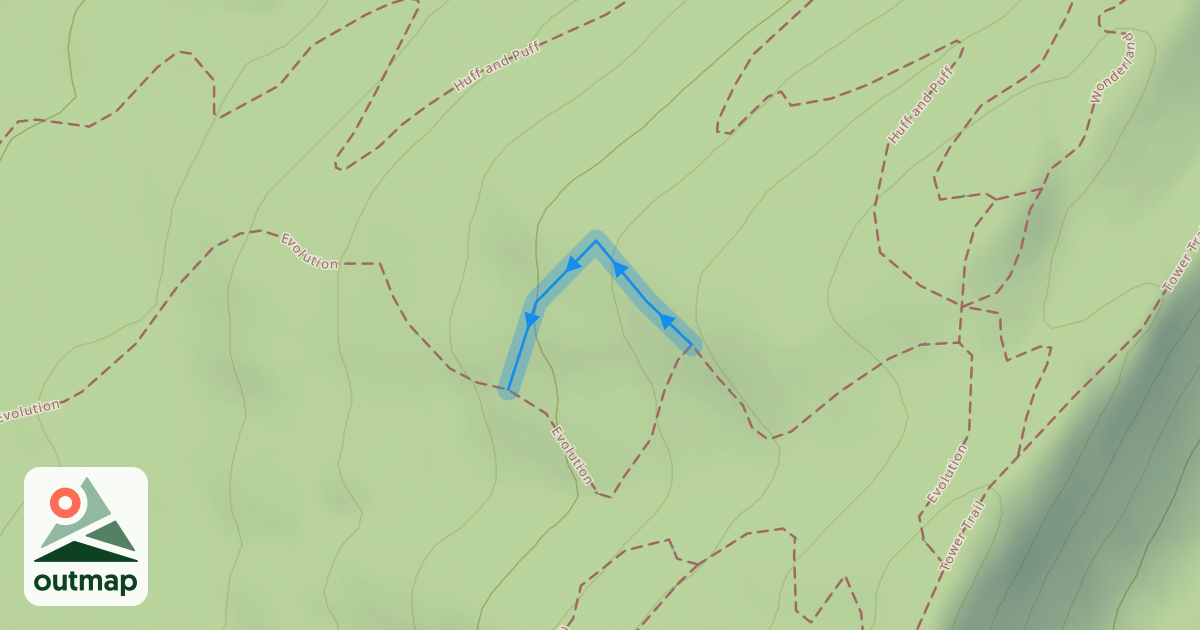 Map of Evolution Alt