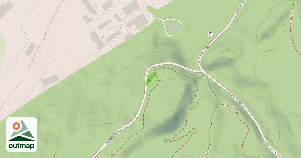 Map of Arapa