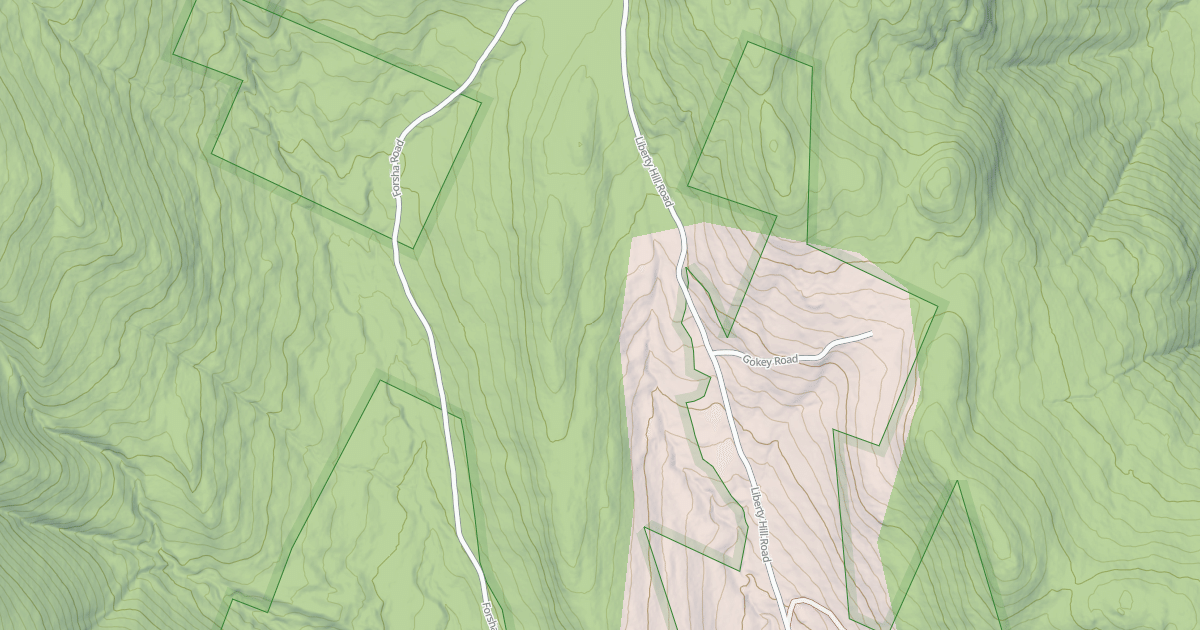 Map preview of Liberty Hill