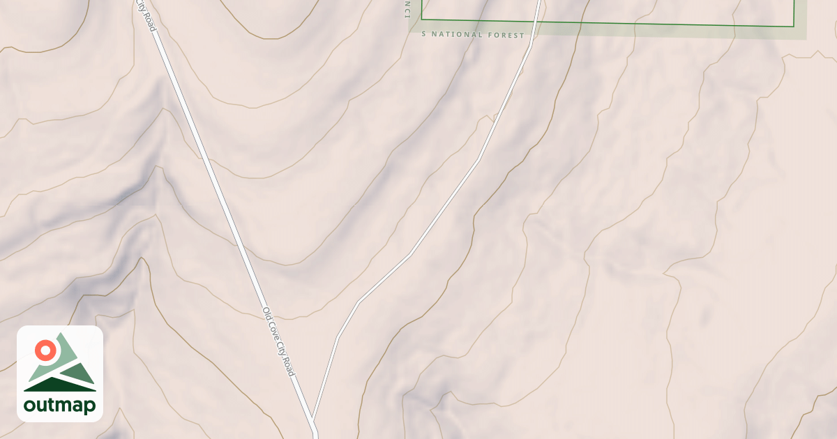 Map of USFS National Forest System Roads {C80A39A8-0ABC-4FFA-B521-A9D3504A1125}