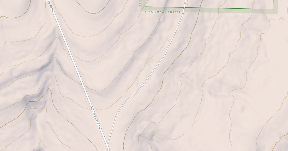 Map preview of USFS National Forest System Roads {C80A39A8-0ABC-4FFA-B521-A9D3504A1125}