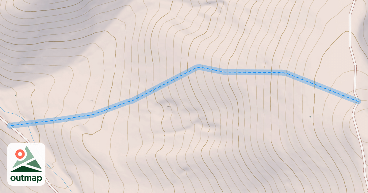 Map of Raintree