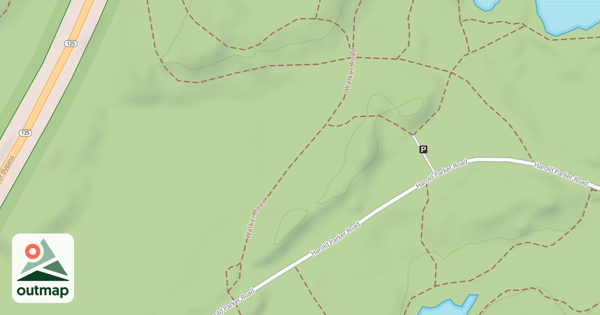 Map of Bracket Pond Road