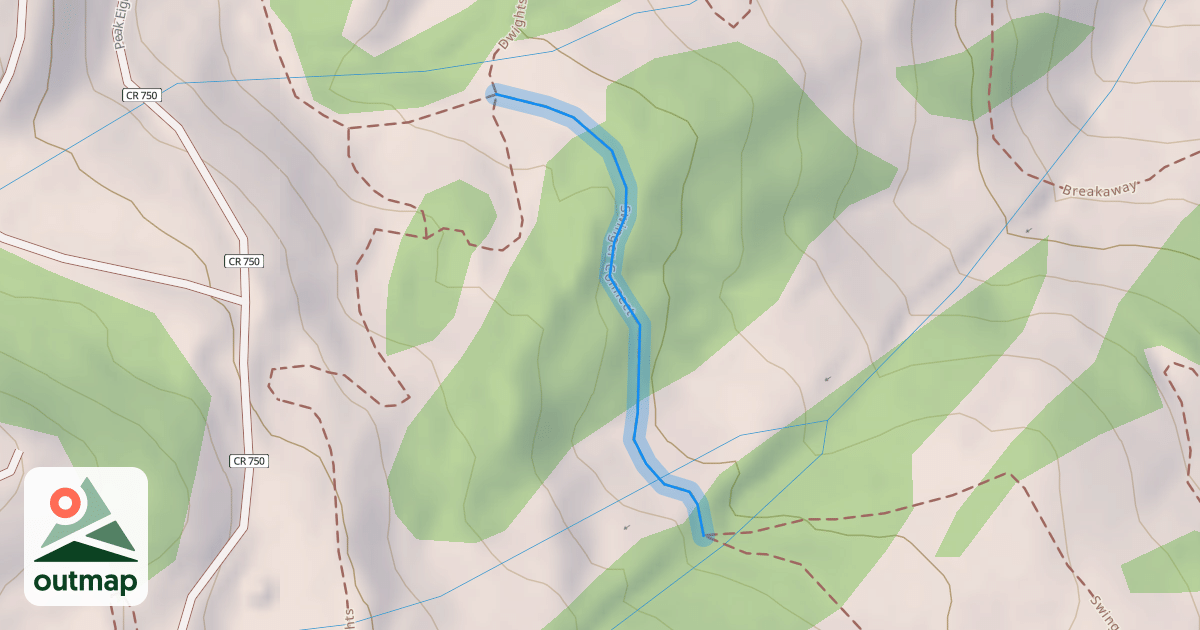 Map of Swinger Connect