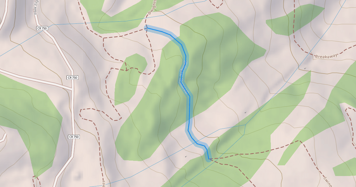 Map preview of Swinger Connect