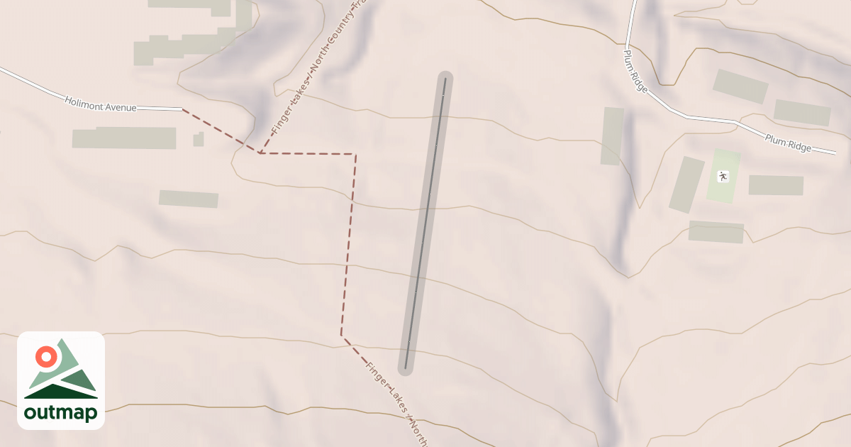 Map of Grasshopper