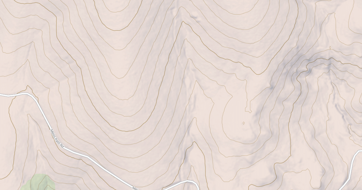Map preview of BUCKSKIN BEES