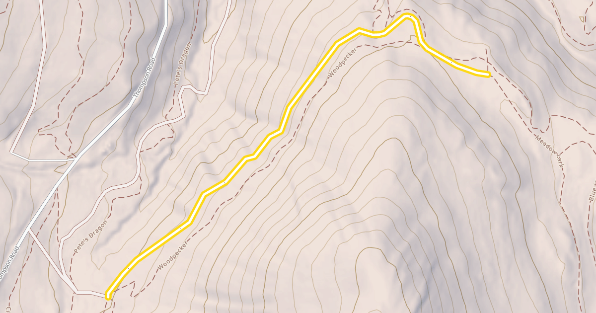 Map preview of Meadow Lark