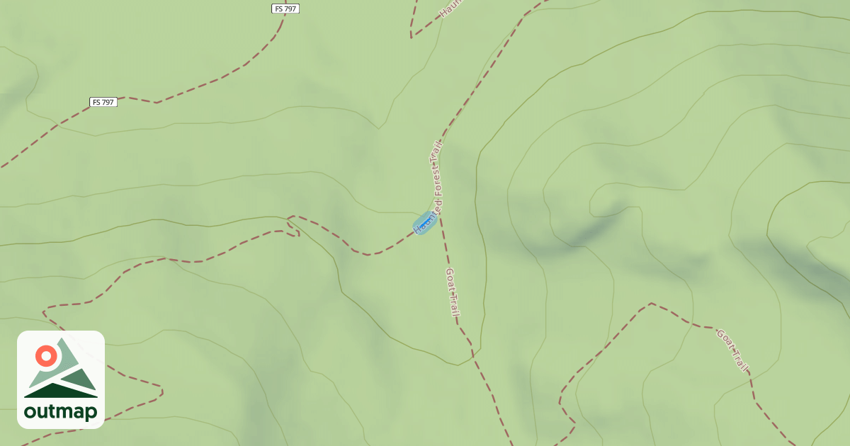 Map of Haunted Forest Trail