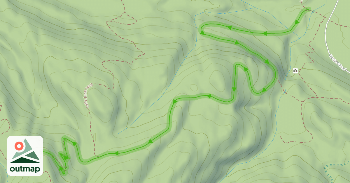 Map of Baneberry Trail