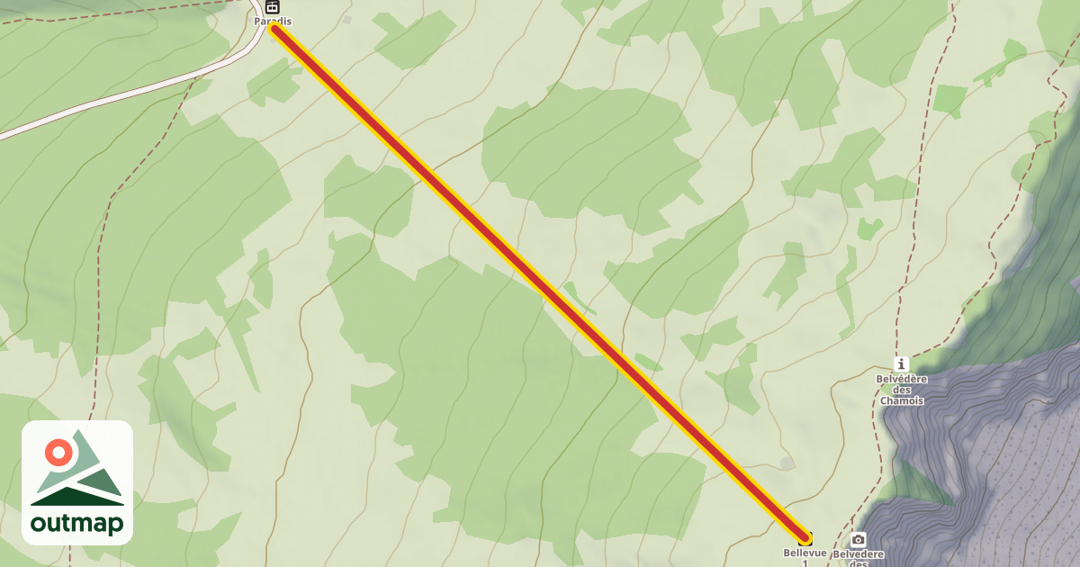 Map of Bellevue 1