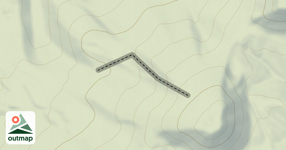 Map of Notch