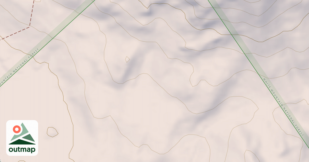 Map of Stoneham Snomo