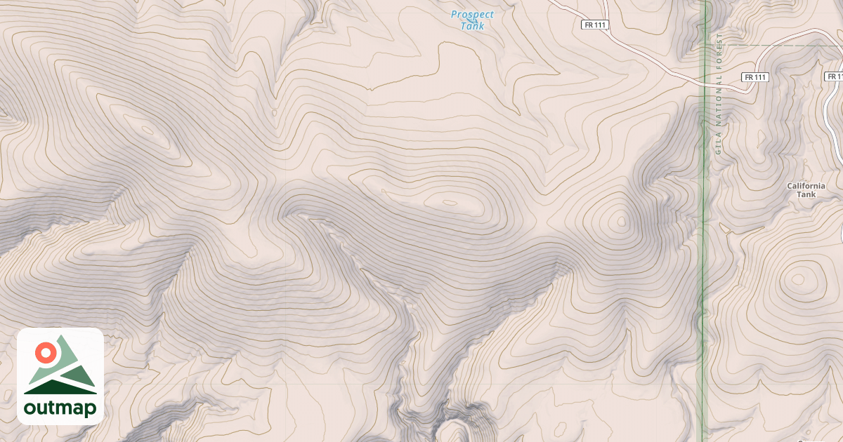 Map of USFS National Forest System Roads {9072BF21-276F-4503-AE94-22A0E18CCD33}