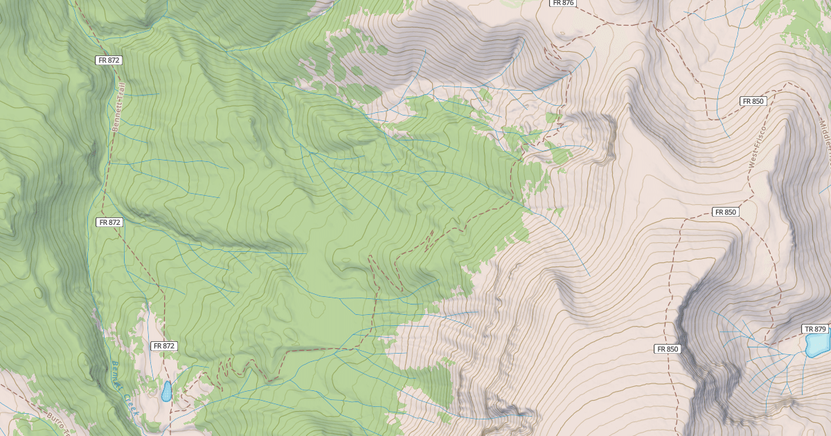 Map preview of FRISCO-FITTON