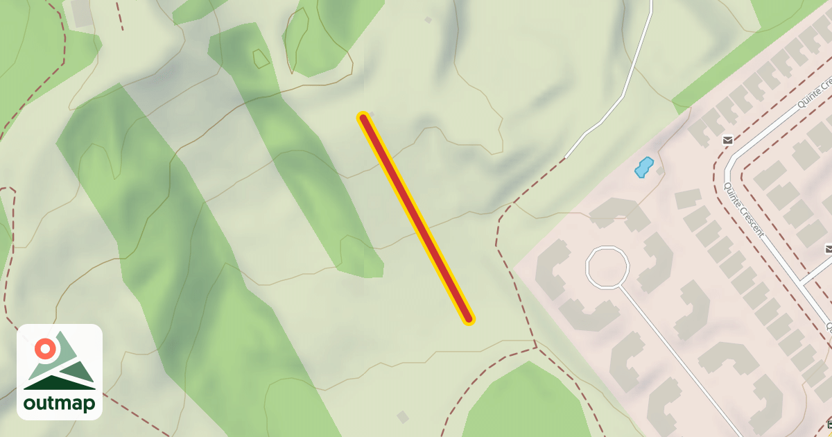 Map of Rabbit's Foot Carpet