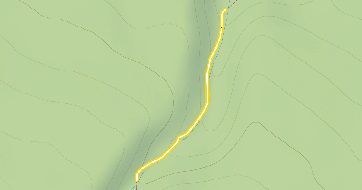 Map preview of Auriol Trail