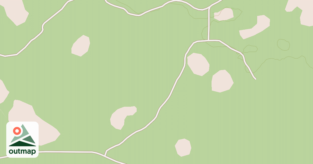 Map of USFS National Forest System Roads {B25B1720-224A-422E-8830-E76BD46CEBF1}
