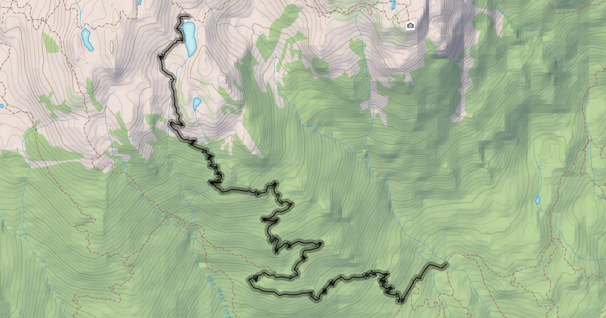 Map preview of Lord of the Squirrels