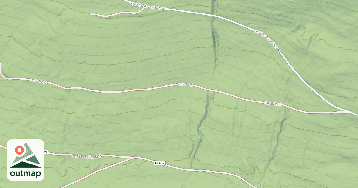Map of CATTLE