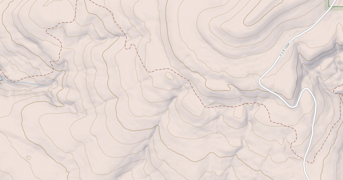 Map preview of USFS National Forest System Roads {1466F4D8-92D6-4D4C-B66D-FC4F4DDA8F96}