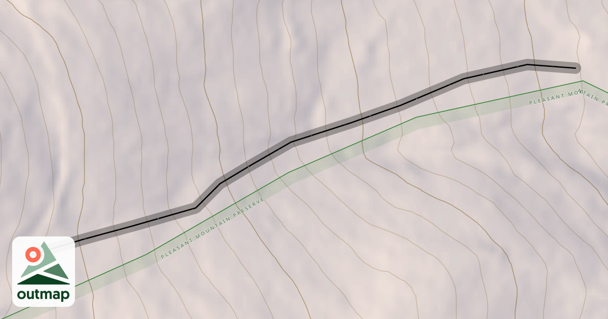Map of The Gut