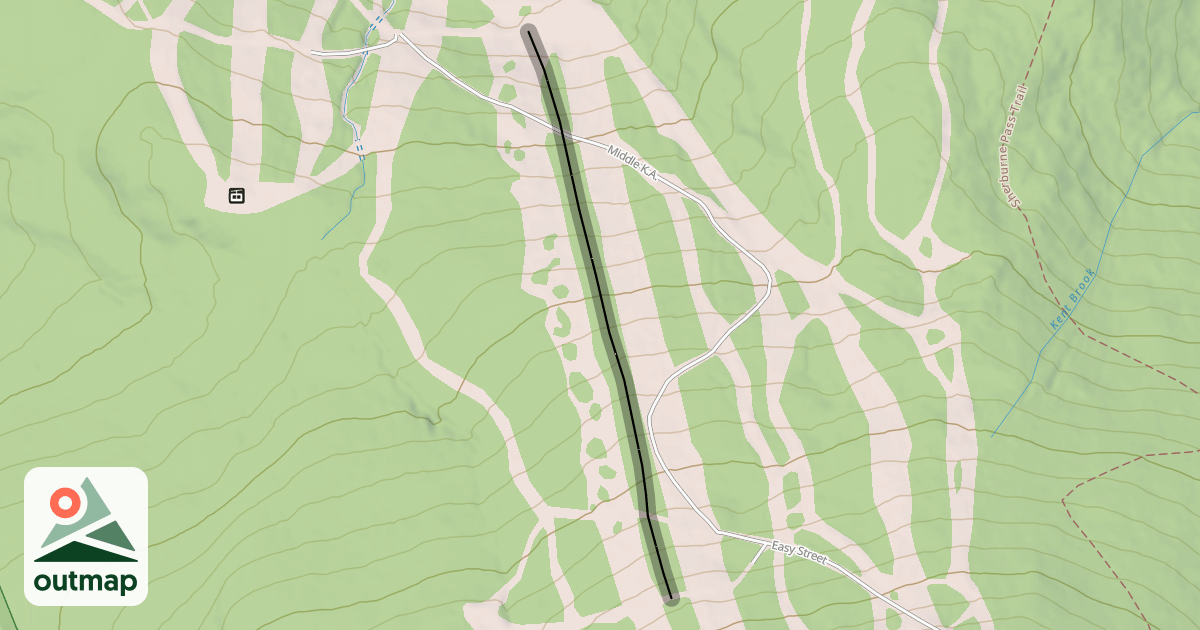 Map of Birch Woods