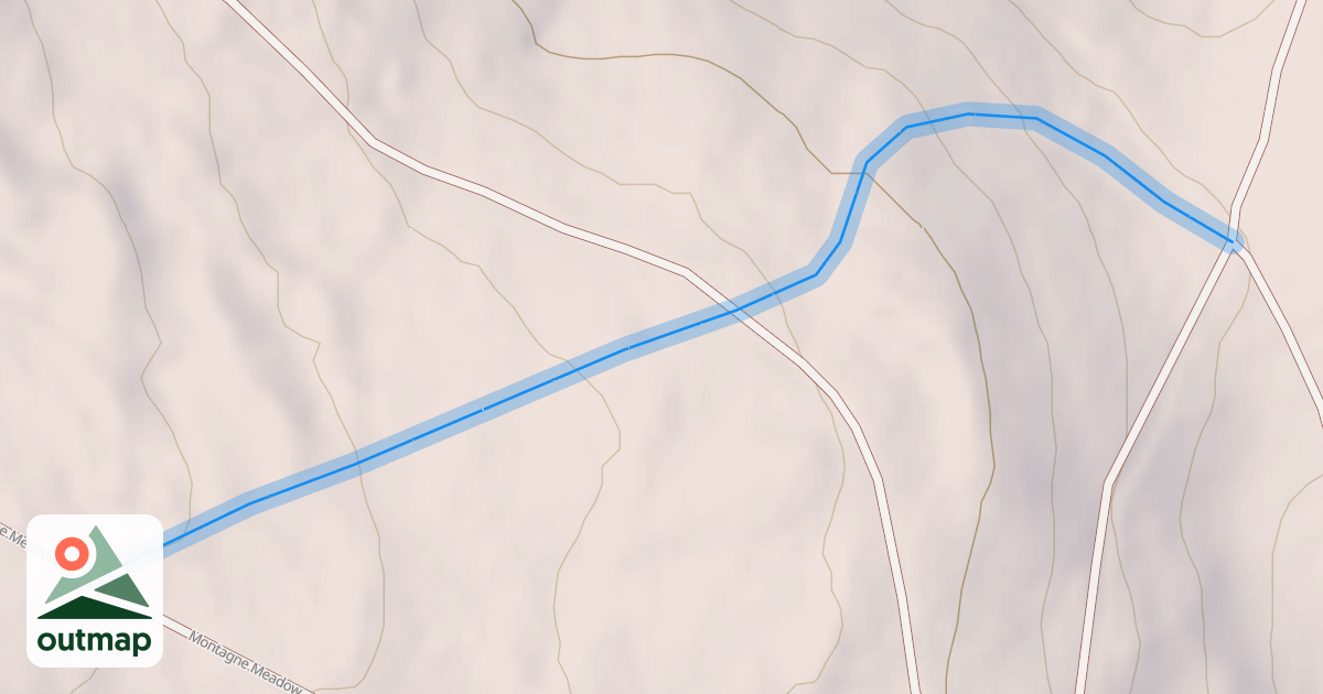 Map of Crazy Woman