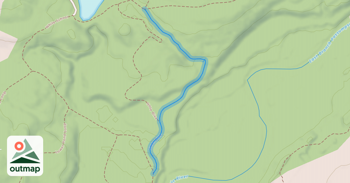 Map of Swan Dive