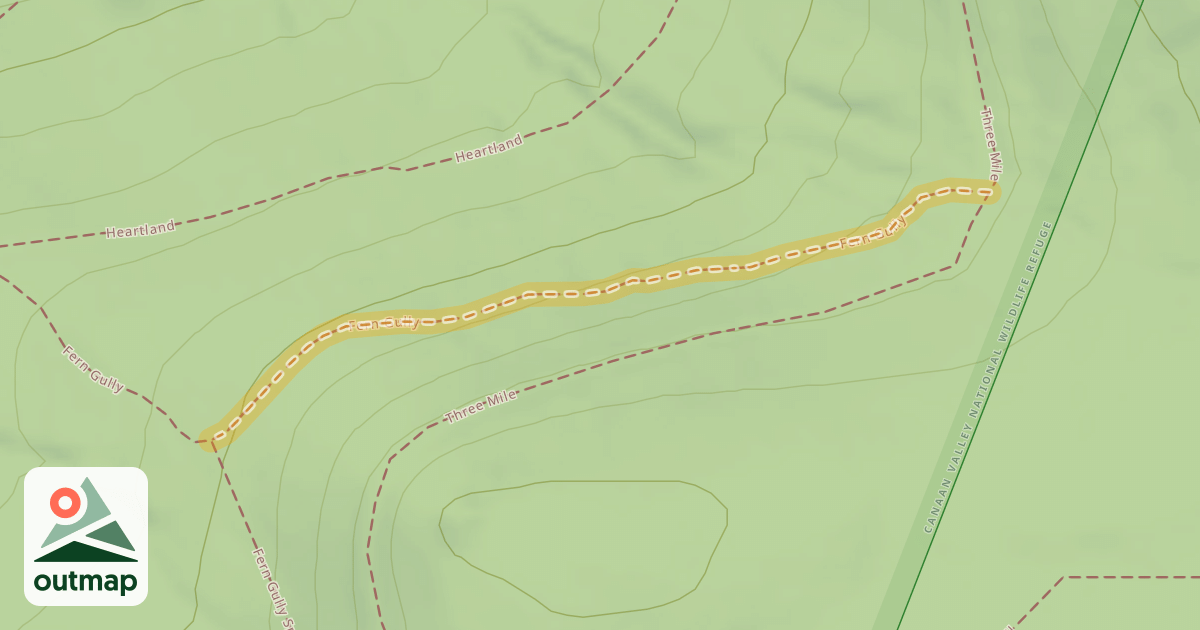 Map of Fern Gully