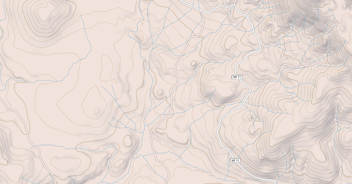 Map preview of USFS National Forest System Roads {3384570A-DDDB-4B56-BECF-044022610434}