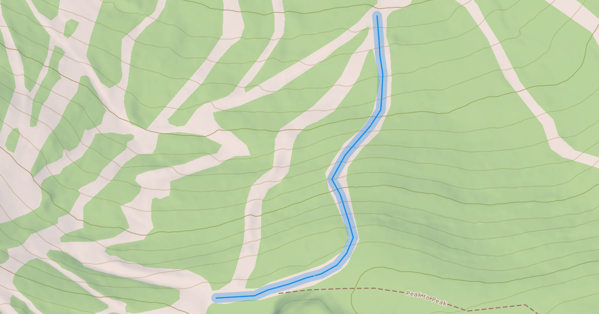 Map preview of Wildcat
