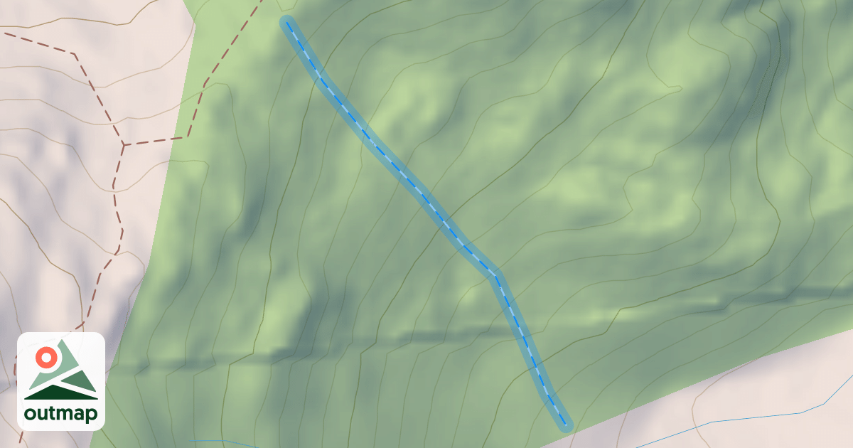 Map of Ledge Trees