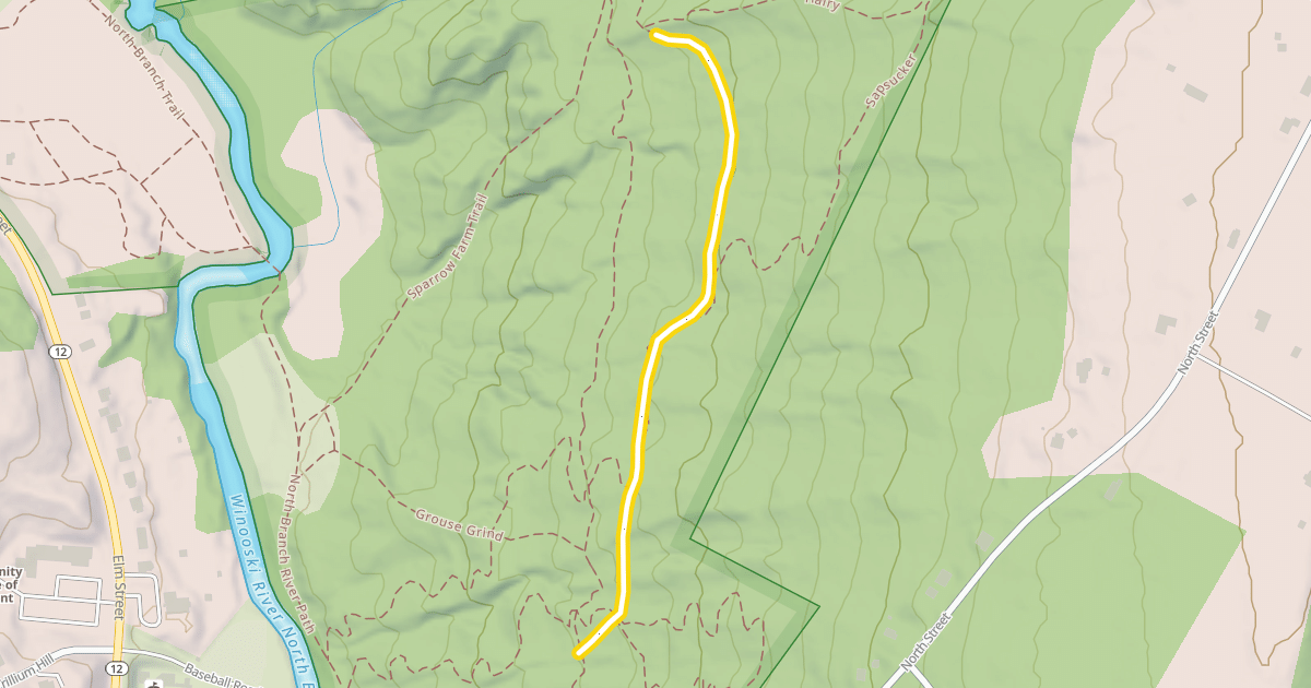 Map preview of Pileated Pass