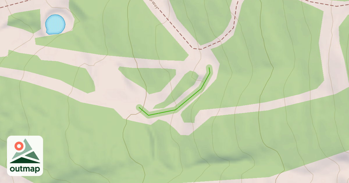 Map of Free Bird