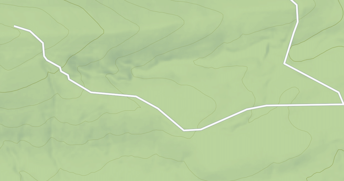 Map preview of USFS Motor Vehicle Use Map Roads {C4792338-D045-418E-880F-5B1D9AF2DB8E}