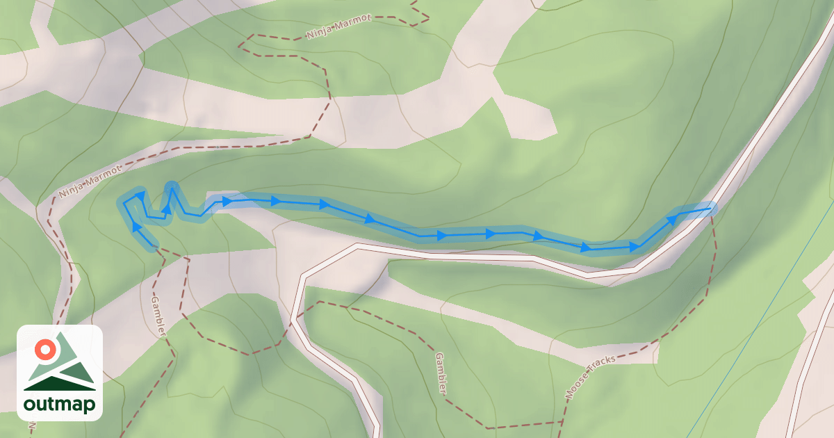 Map of Sneaky Weasel