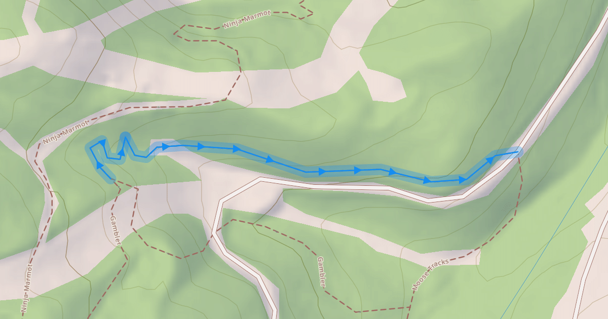 Map preview of Sneaky Weasel