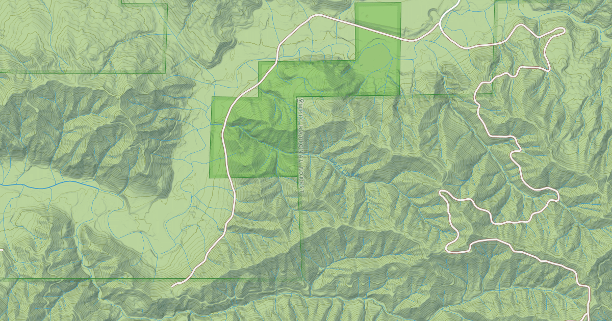 Map preview of USFS Motor Vehicle Use Map Roads {C17DCC98-9F69-4FE7-B847-5C928271D23A}
