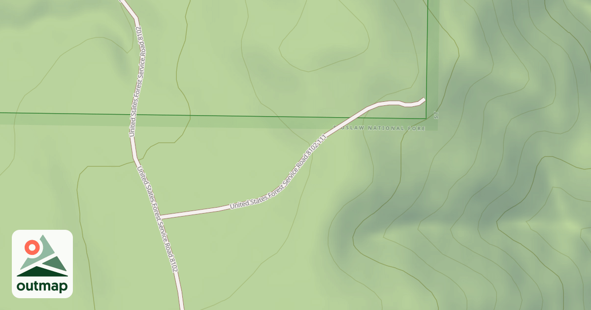 Map of USFS National Forest System Roads {F3372EE6-0A26-4CA0-806F-9AF7C9328815}