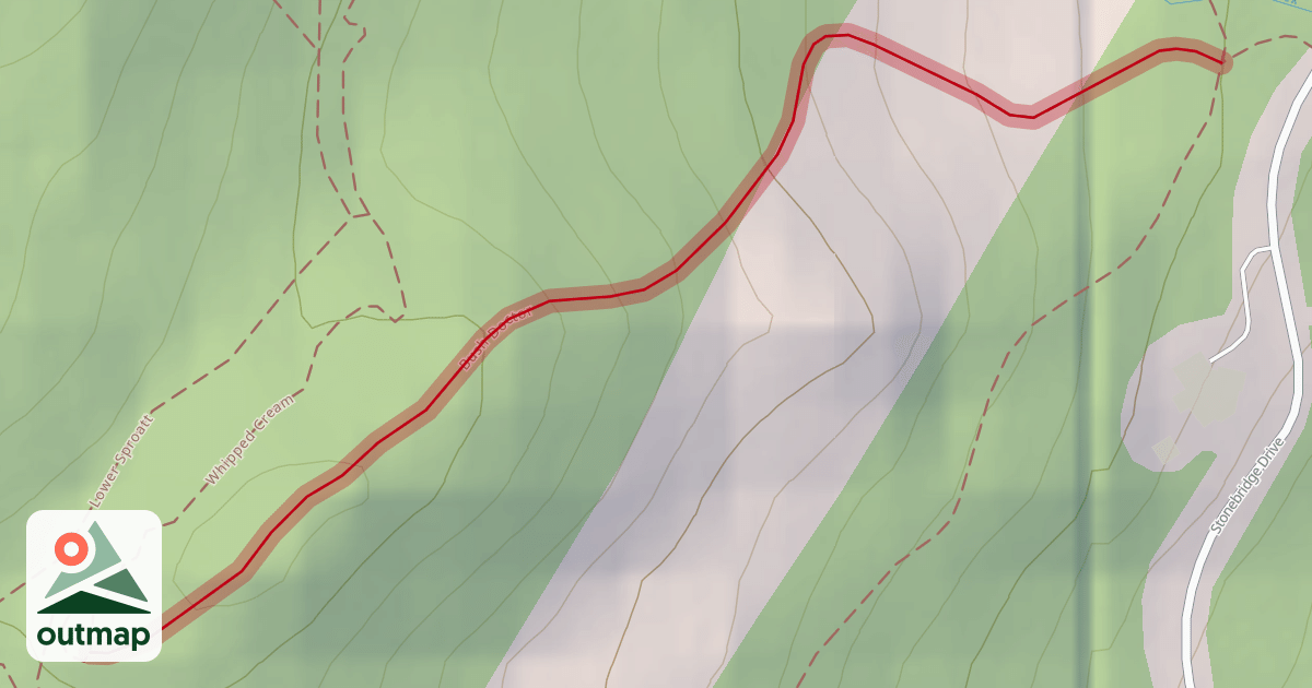 Map of Bush Doctor