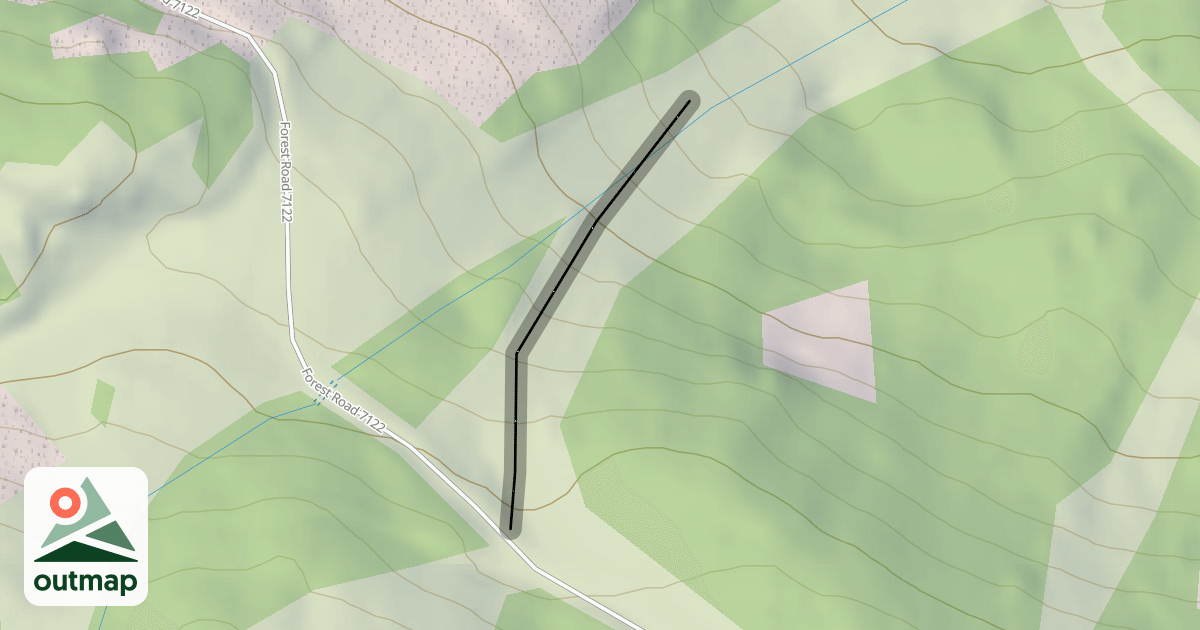Map of Lower Tyee