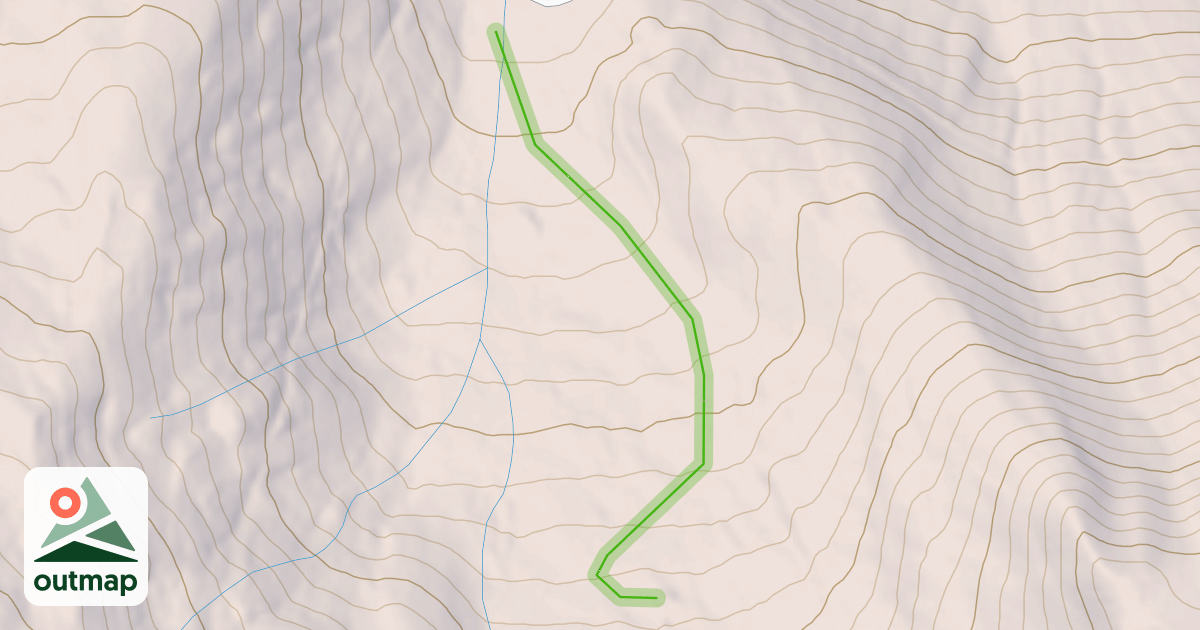 Map of Loop