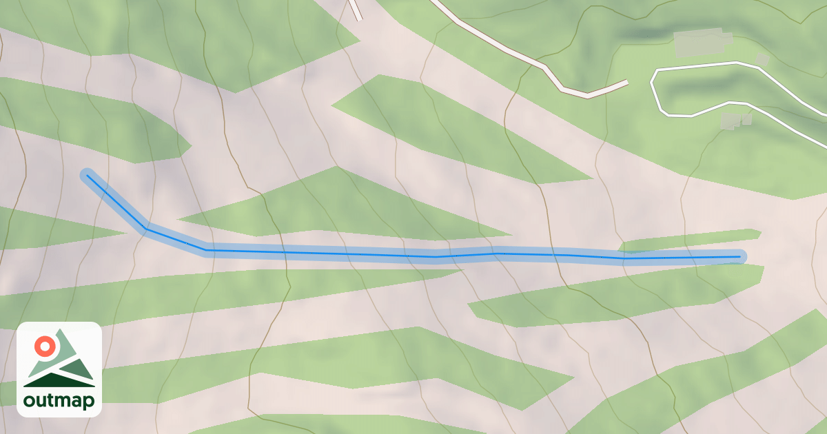 Map of Hotdog Alley