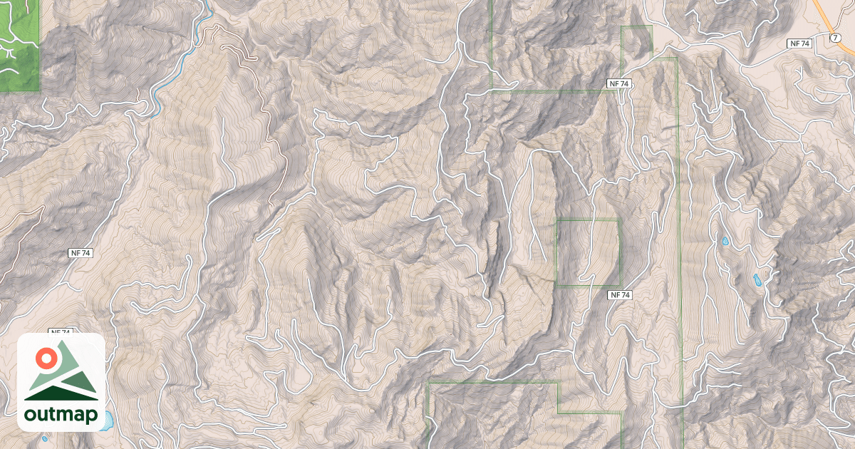 Map of NISQUALLY LOOP